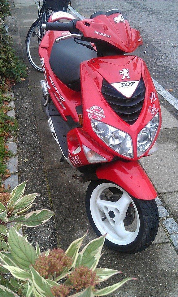 Peugeot Speedfight 2 307 LC WRC Special billede 1