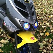 Aprilia SR50 Ditech LC DD 30er (Roxy) SOLGT.