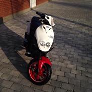 PGO PMX Sport No fear