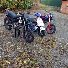 Derbi Senda drd extreme ( SOLGT )