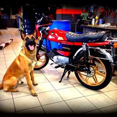 Puch Monza Juvel 4 gear