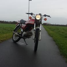 Suzuki Dm 50 Samurai