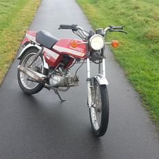 Suzuki Dm 50 Samurai