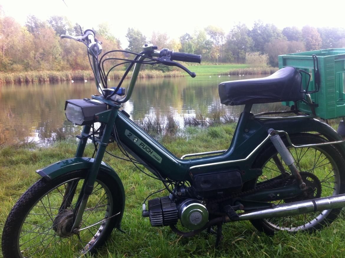 Puch Maxi 2 gear  billede 8