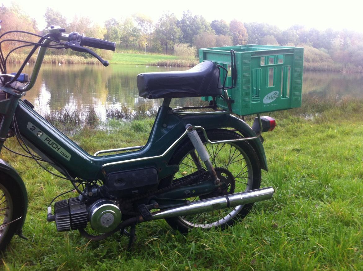 Puch Maxi 2 gear  billede 9