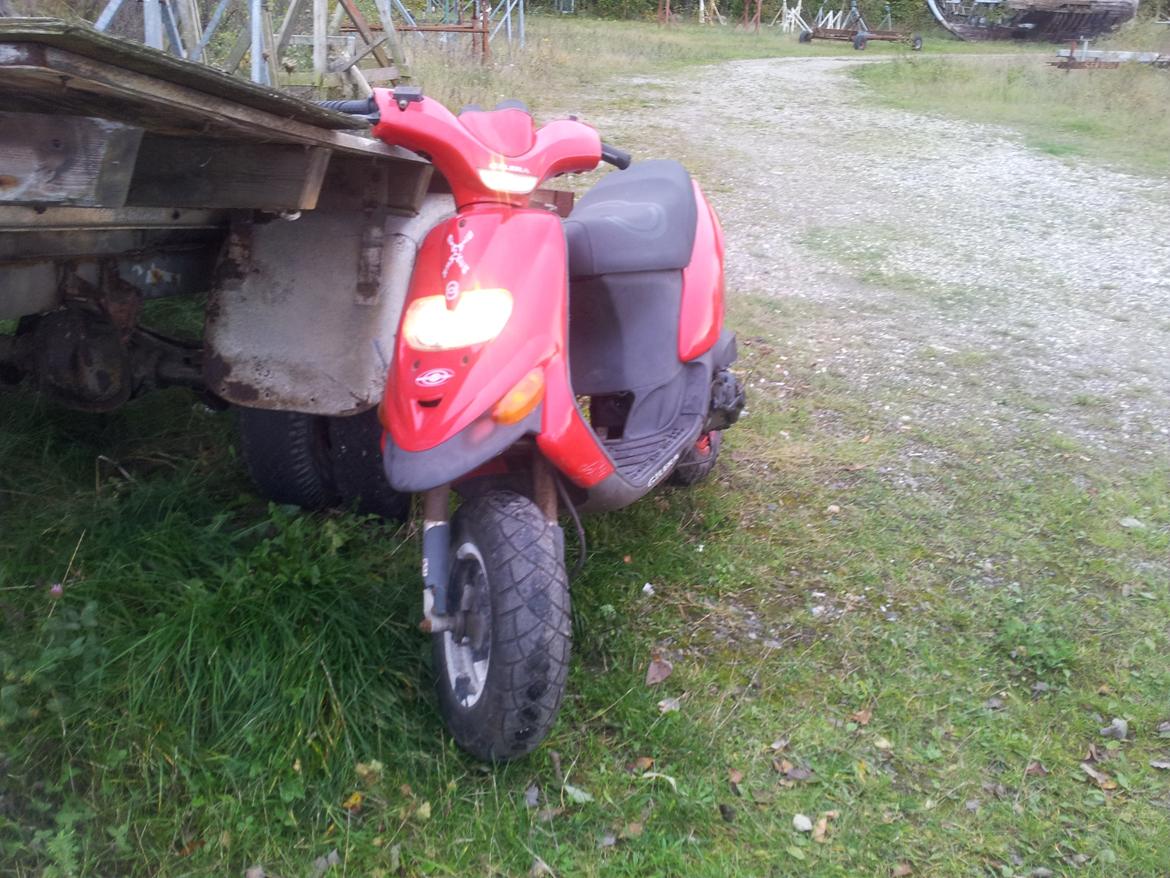 Gilera Stalker (fritten) billede 5