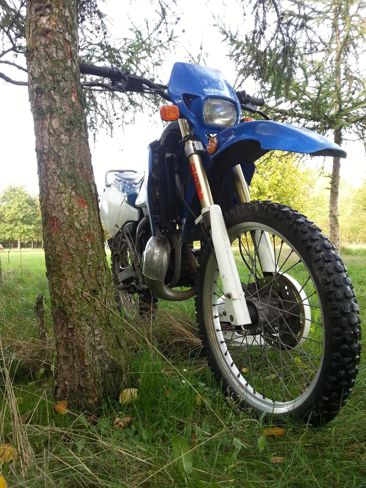 Suzuki RMX LC DD billede 3