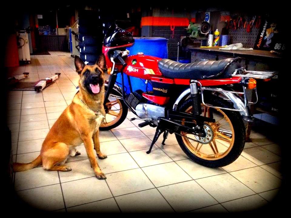 Puch Monza Juvel 4 gear billede 2