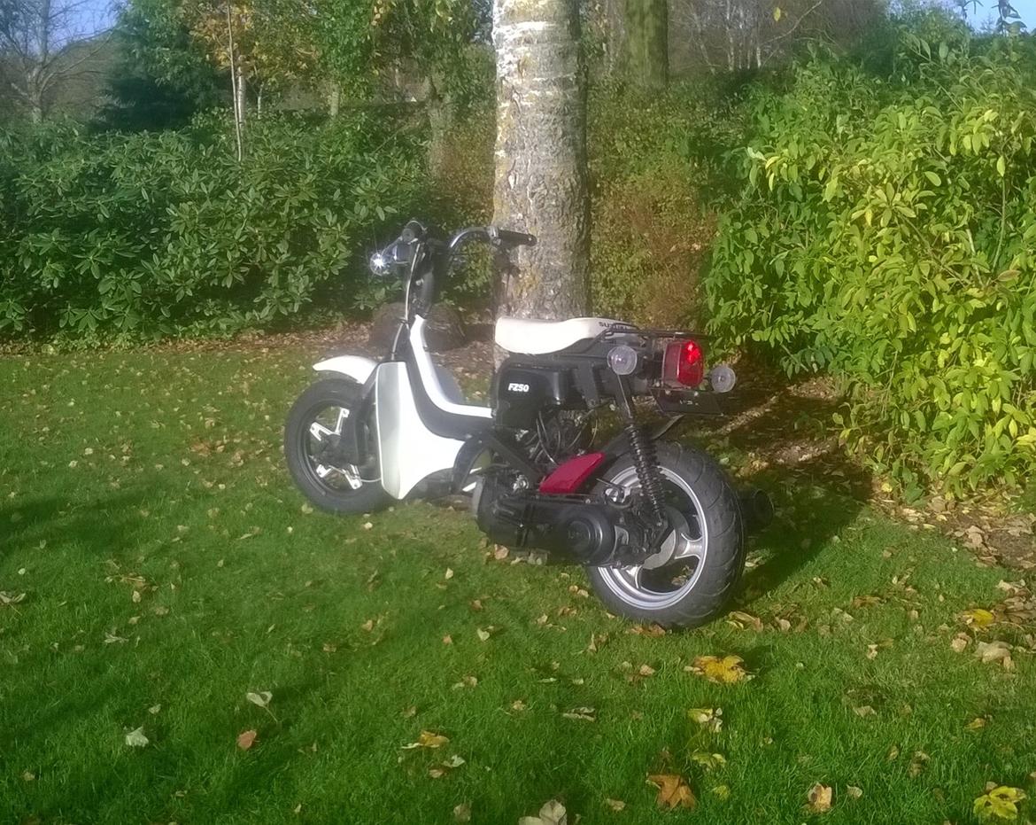 Suzuki FZ 150 billede 4