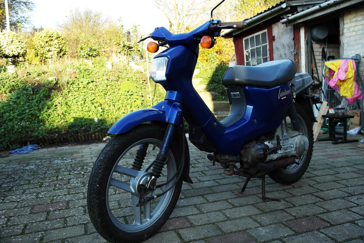 Honda Wallaroo billede 2