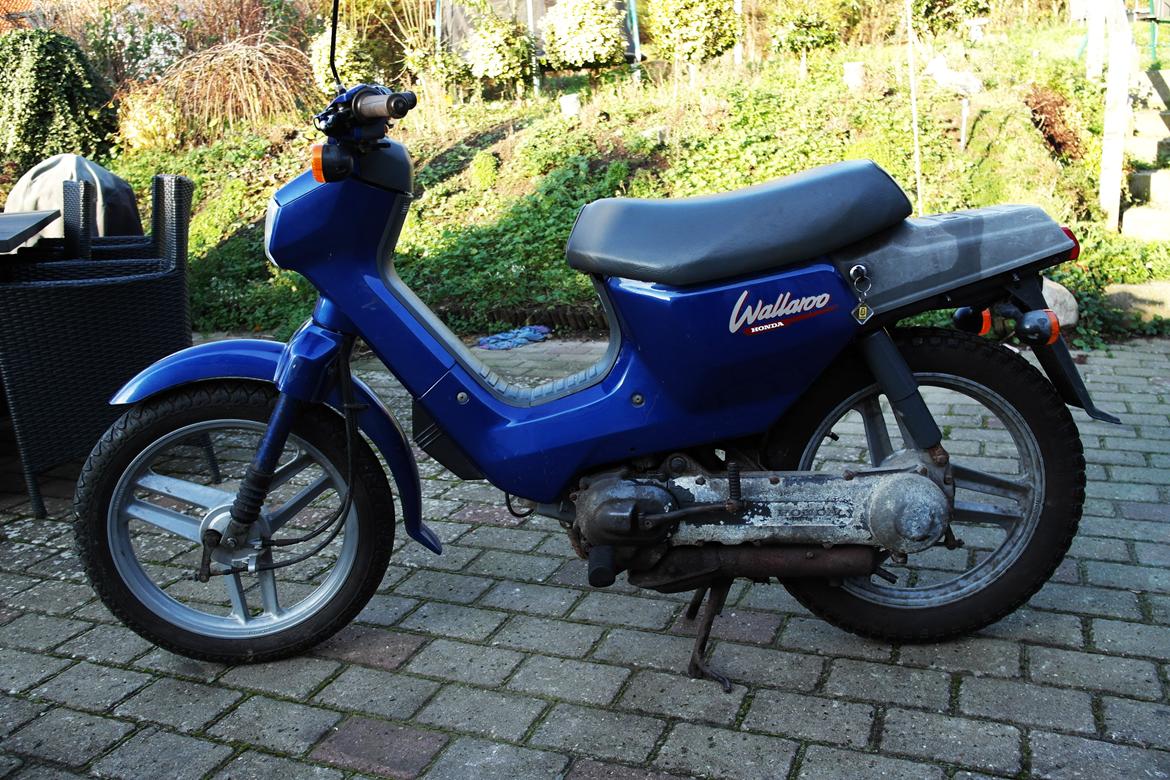 Honda Wallaroo billede 3