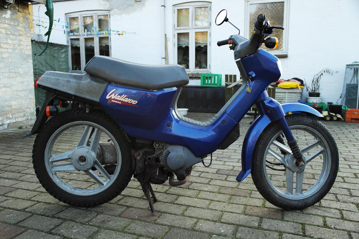 Honda Wallaroo billede 7