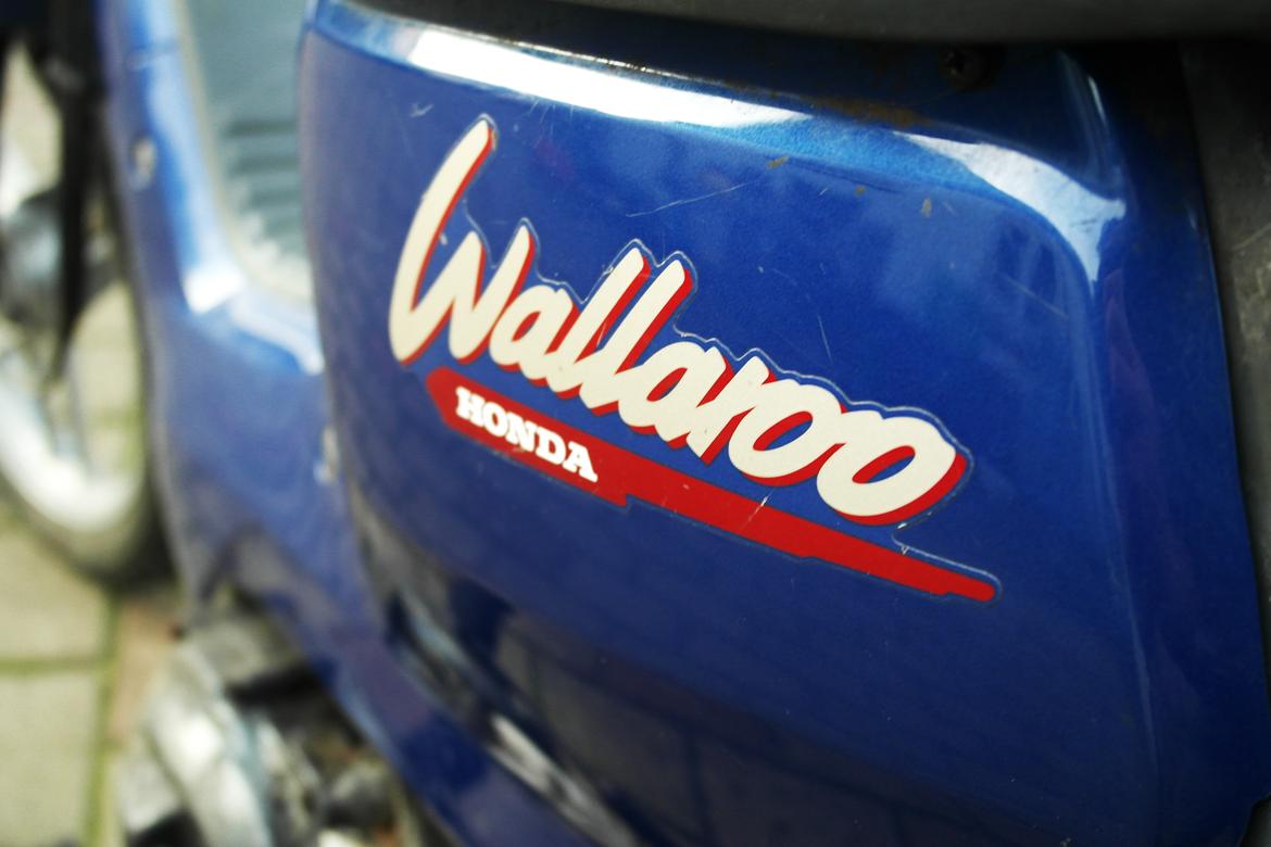 Honda Wallaroo billede 10