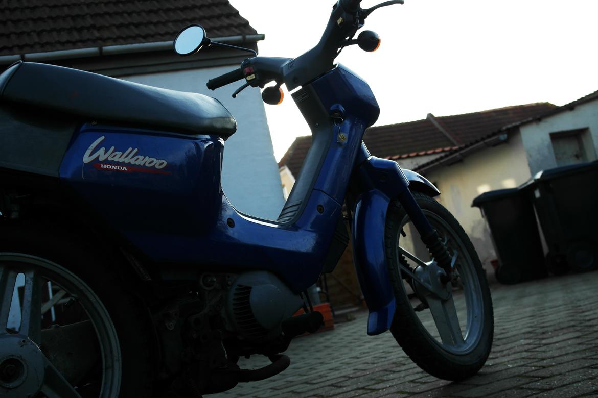 Honda Wallaroo billede 12