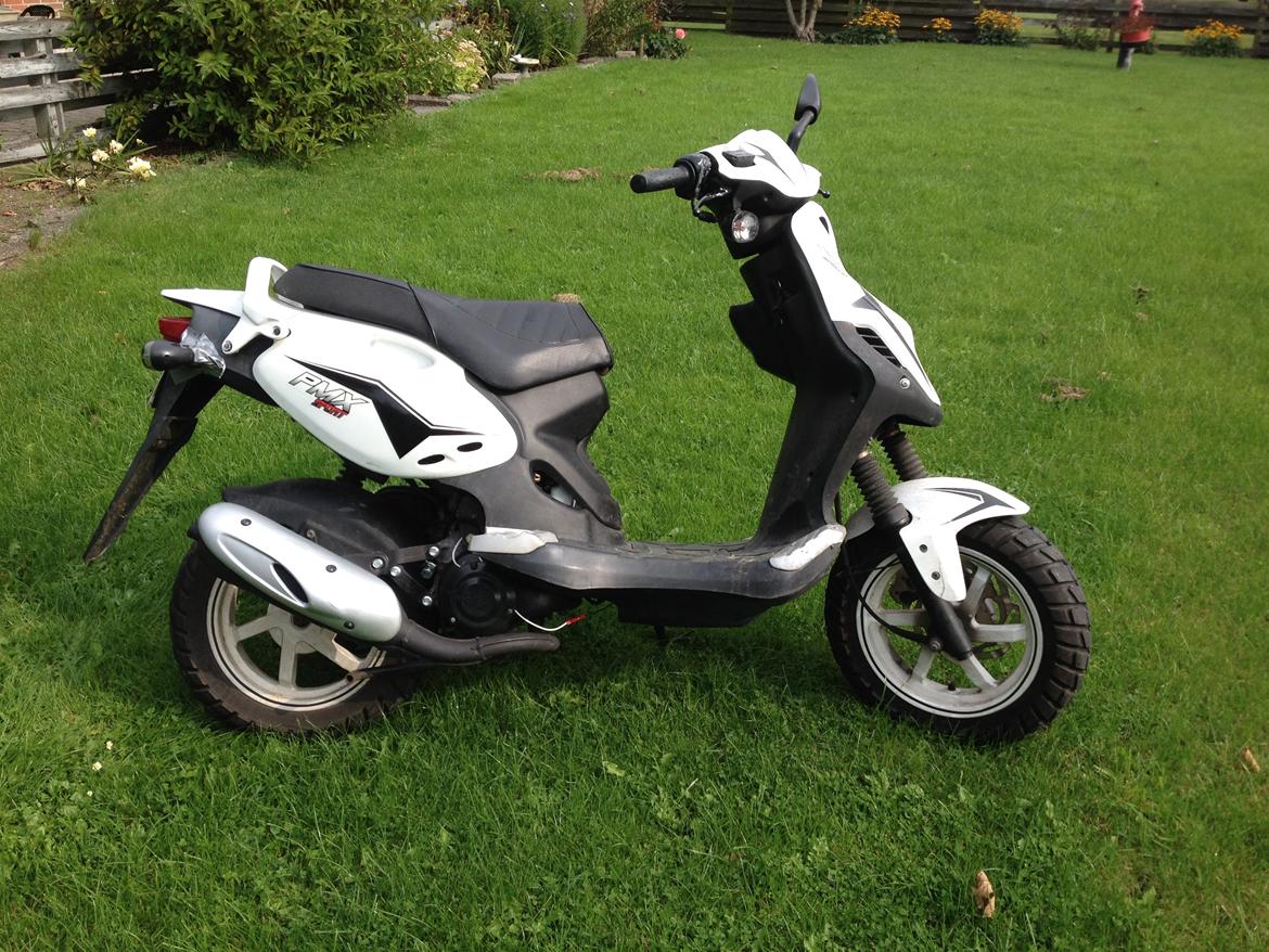 PGO PMX SPORT billede 2