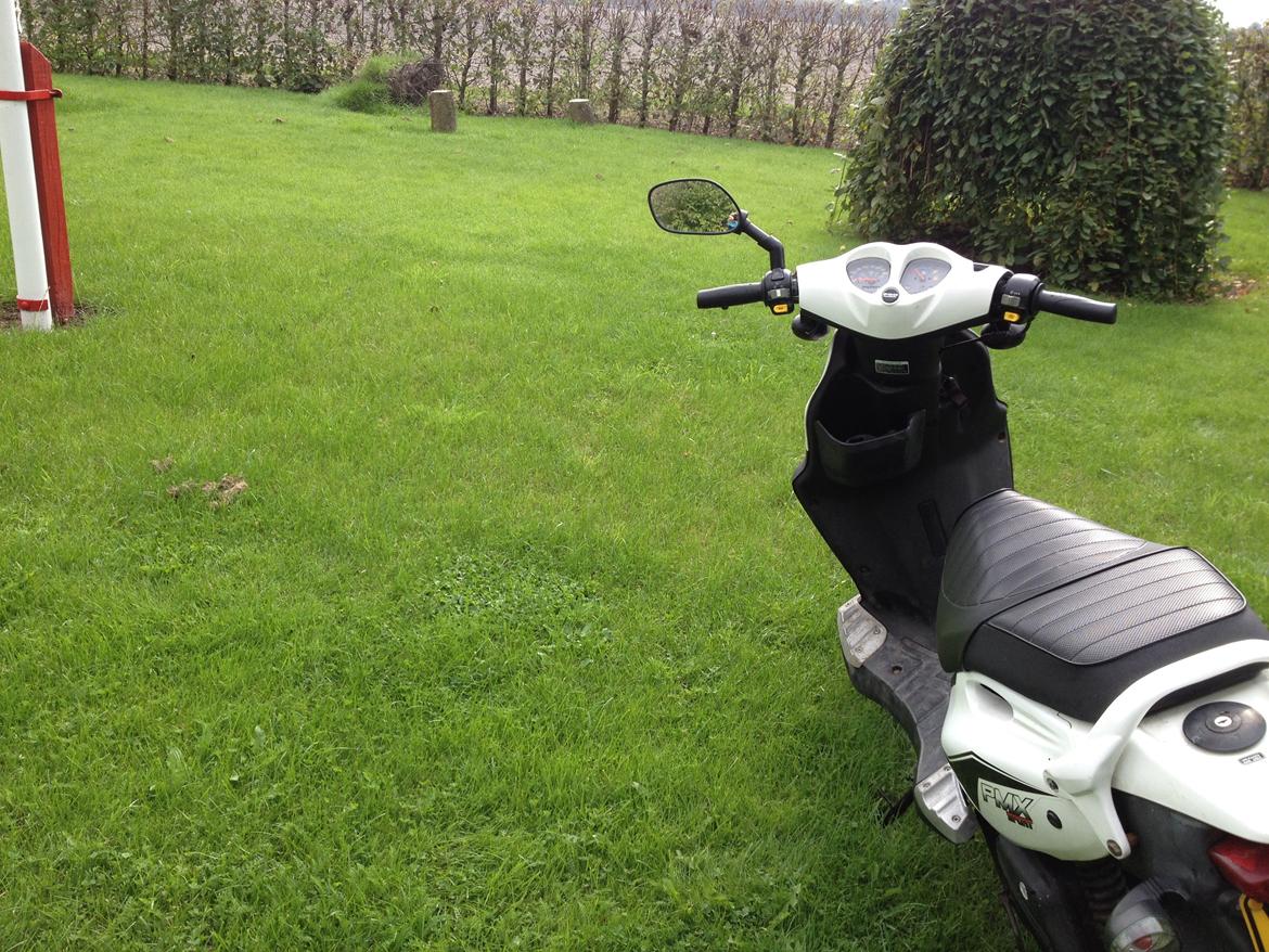 PGO PMX SPORT billede 3