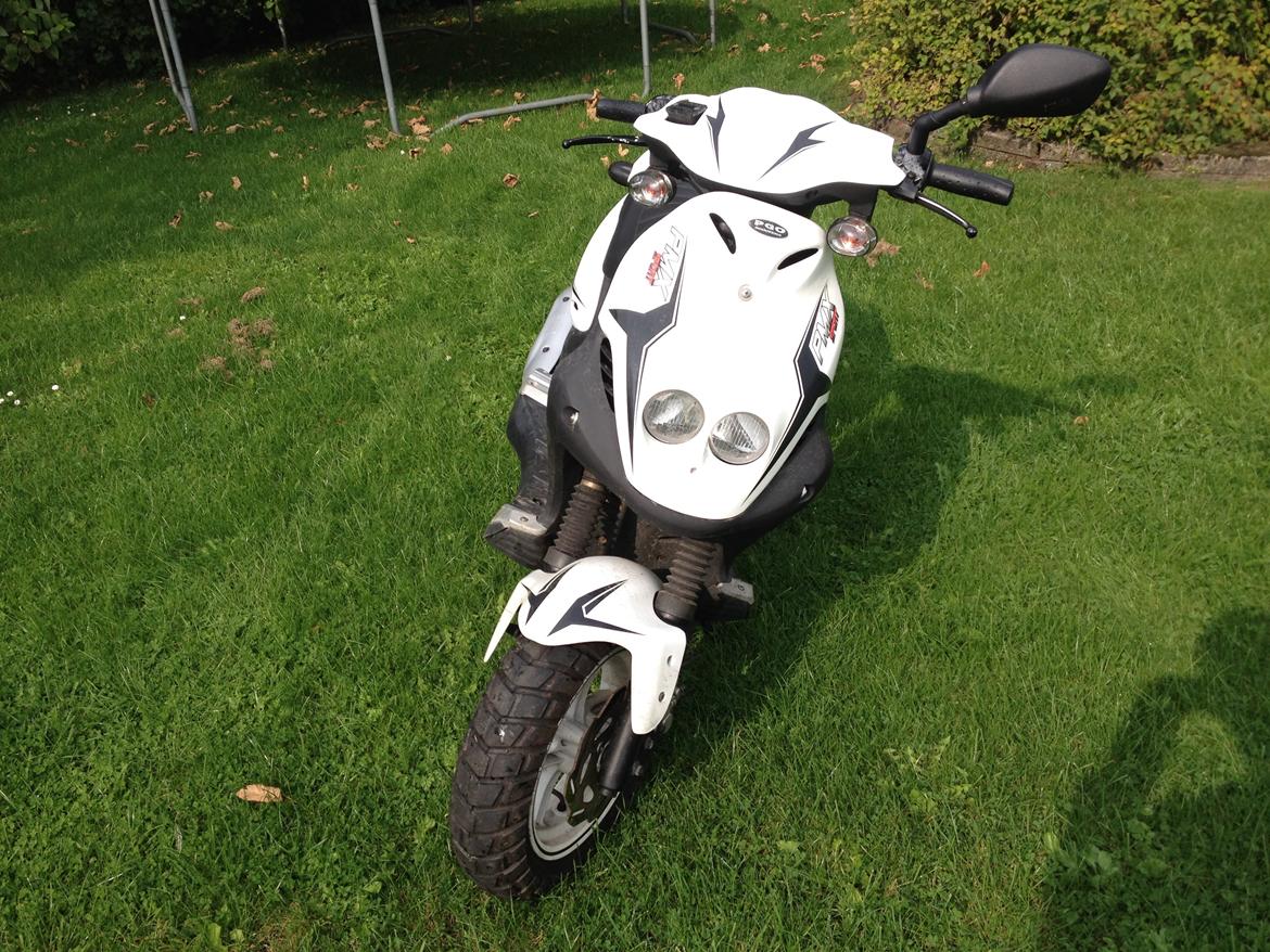 PGO PMX SPORT billede 1