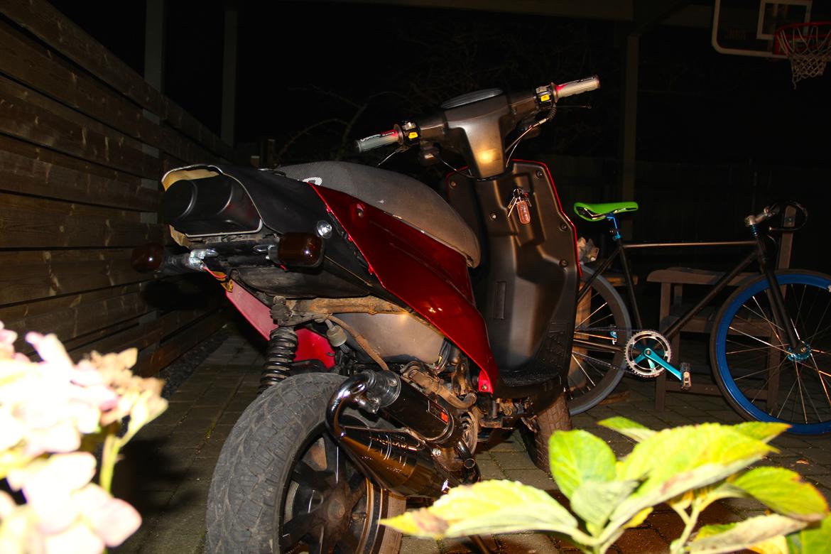 PGO Hot 50 billede 3