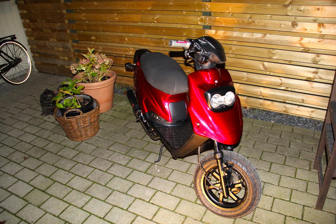 PGO Hot 50 billede 2