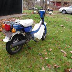 Suzuki FZ50