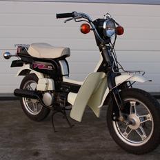 Suzuki FZ50 Unik