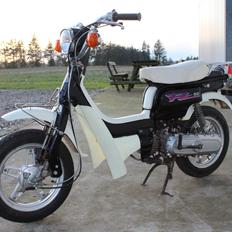 Suzuki FZ50 Unik