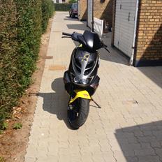 Aprilia SR50 Ditech LC DD 30er (Roxy) SOLGT.