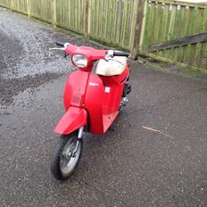 Honda Melody NT50 mini