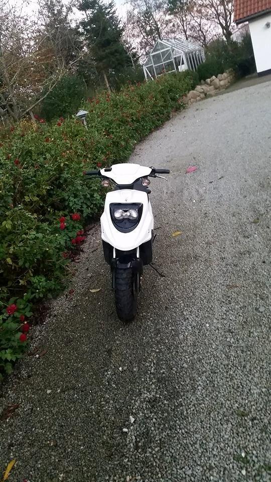 PGO Hot 50 - Et mere forfra billede 5