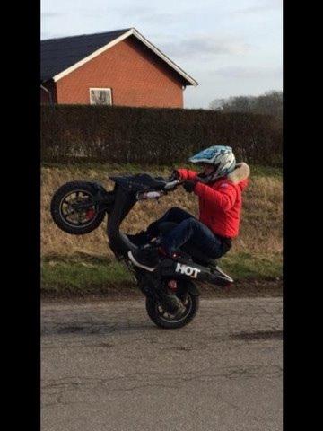 PGO Hot 50  (Solgt) billede 1