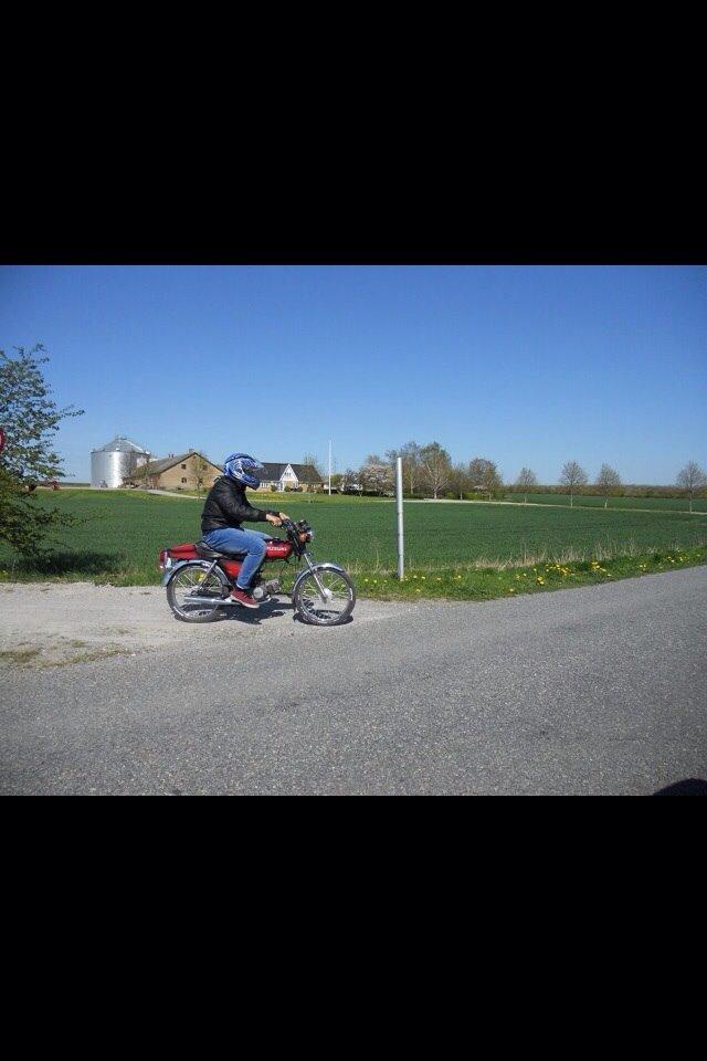 Suzuki dm50 samurai/suzie billede 5