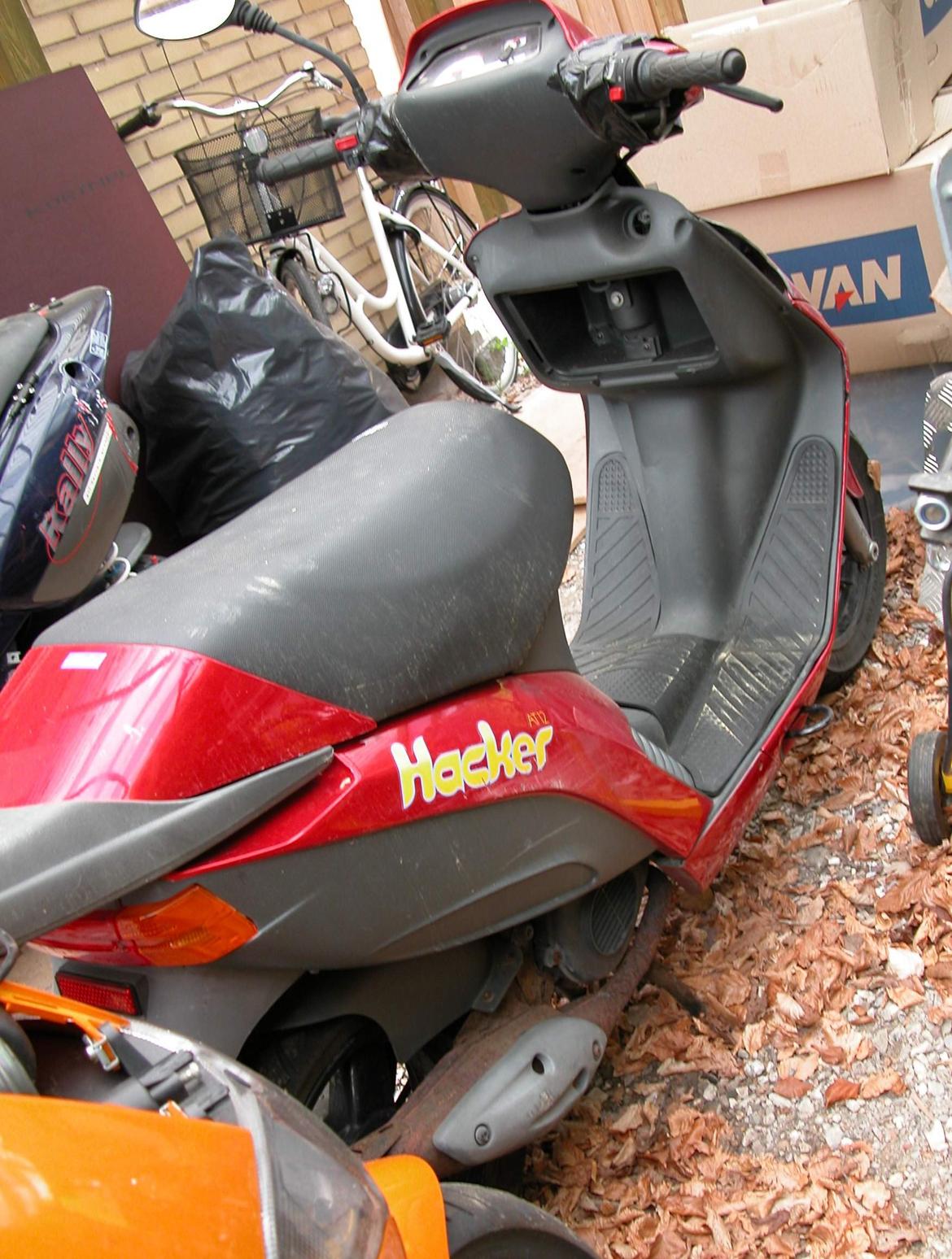 Atala Hacker billede 3