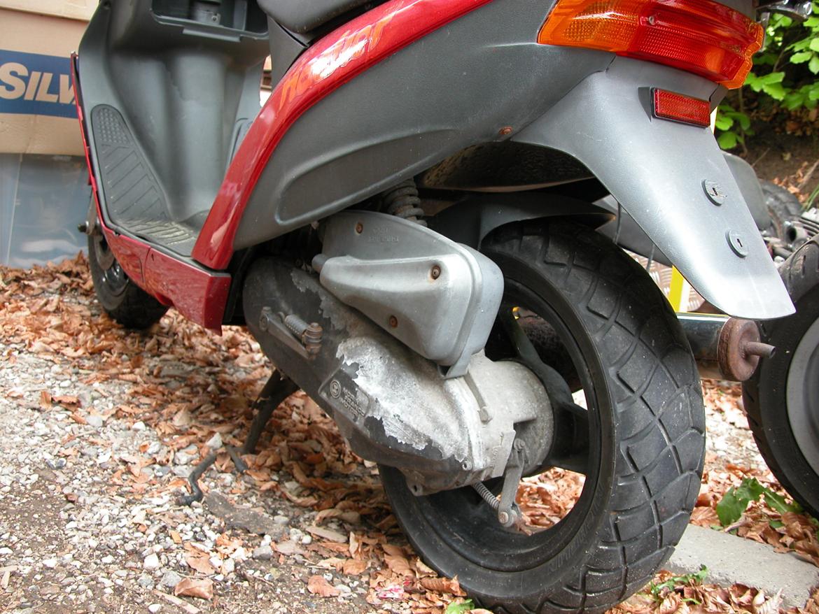 Atala Hacker billede 4