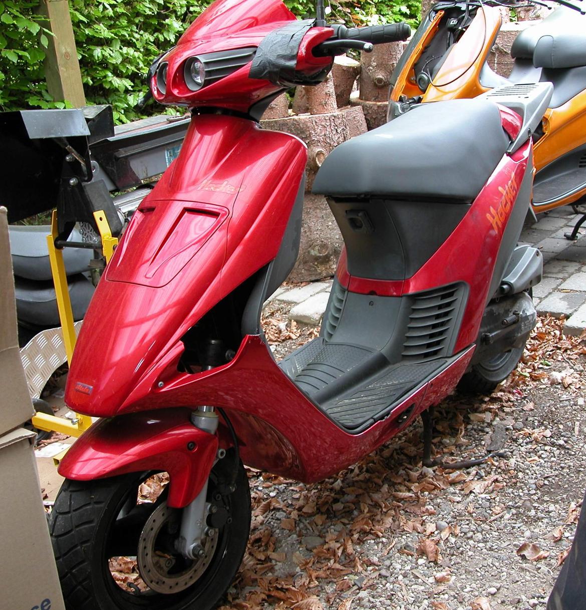 Atala Hacker billede 1