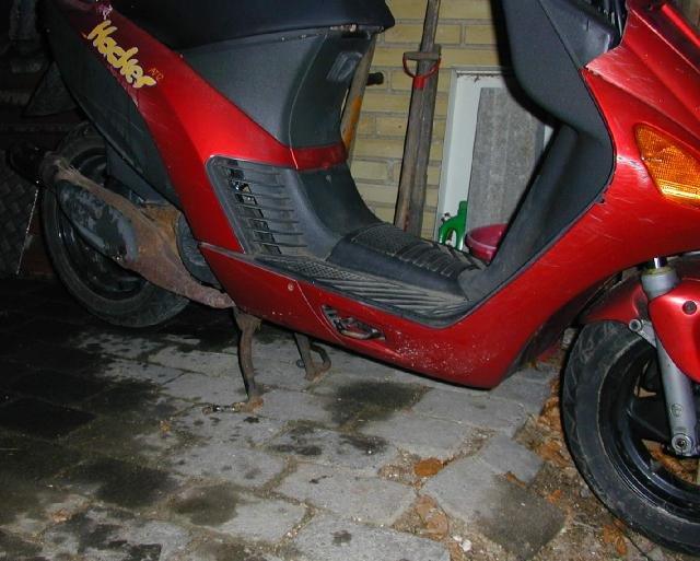 Atala Hacker billede 8