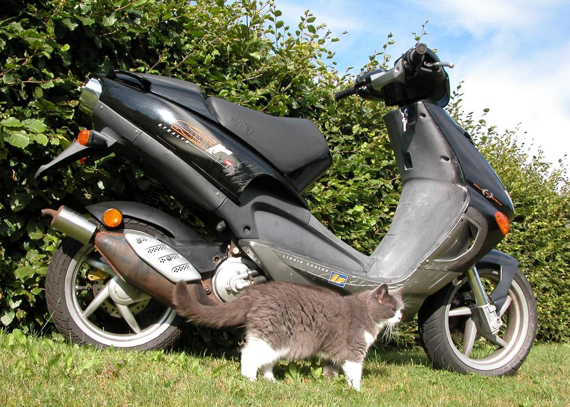 Aprilia SR50 billede 11