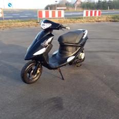 PGO Black Magic - Gertrud (solgt)