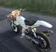 Suzuki Street Magic