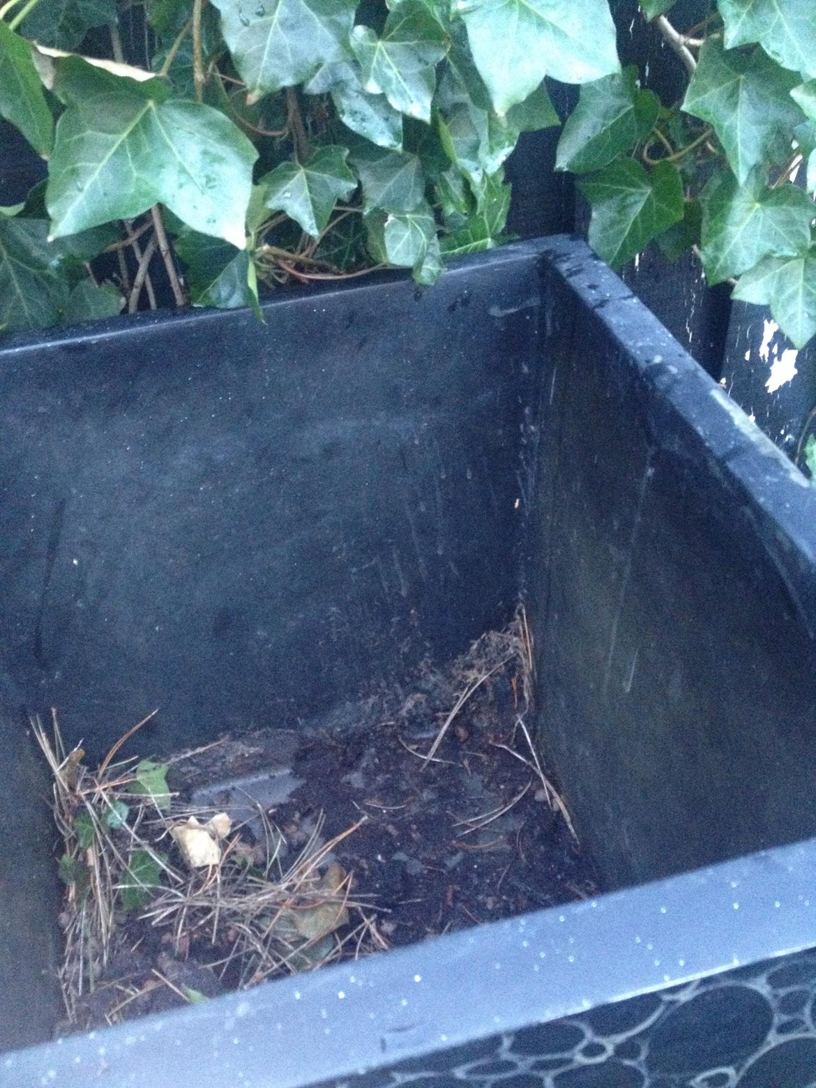 Suzuki StreetRox LC DD billede 9