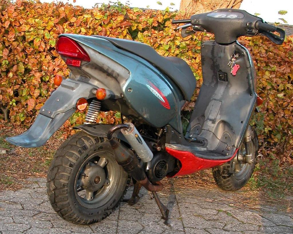 Aprilia Rally billede 8
