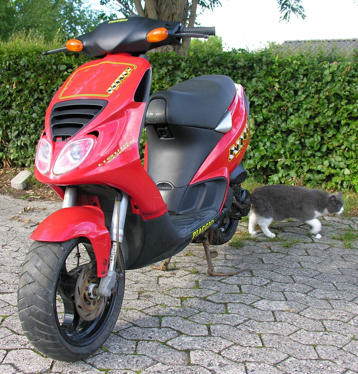 Piaggio NRG Mc2 billede 3