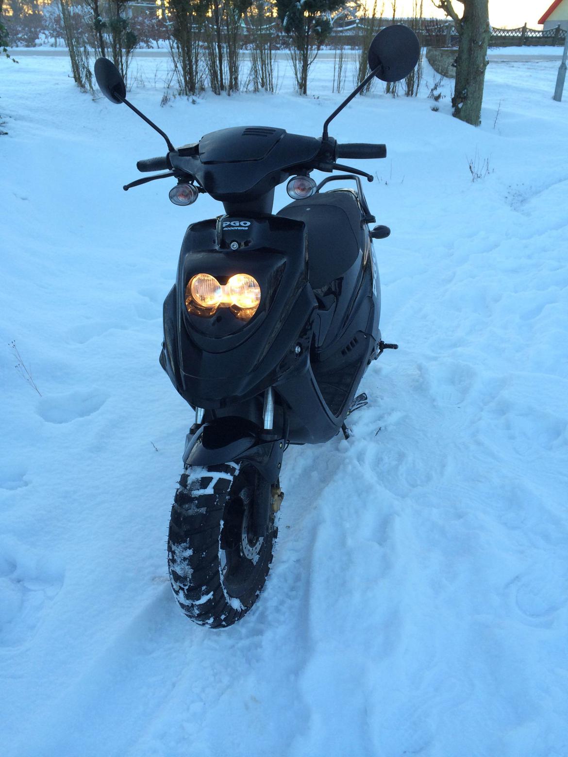 PGO Hot 50 billede 1