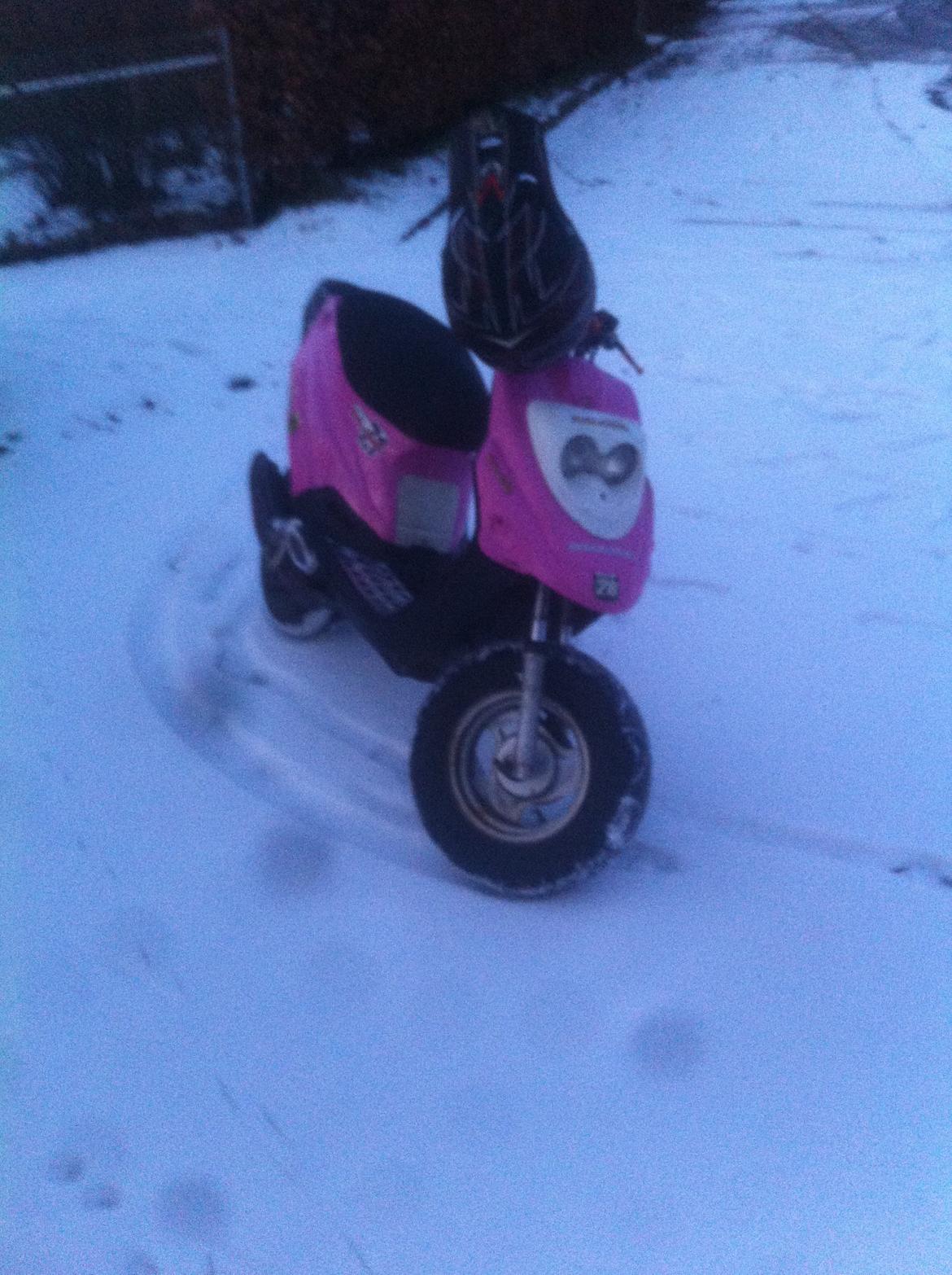 PGO Hot50 70cc Blue top billede 3