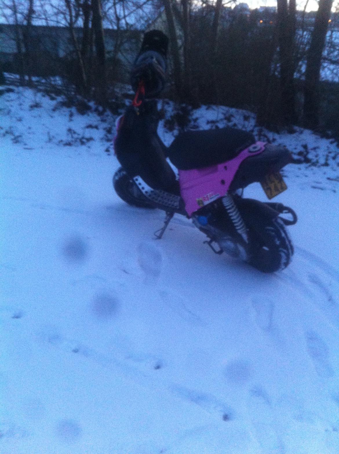 PGO Hot50 70cc Blue top billede 5