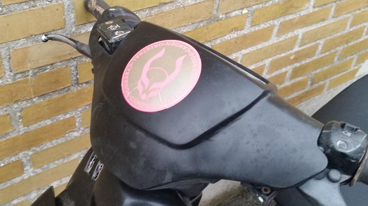 PGO Hot 50 billede 6