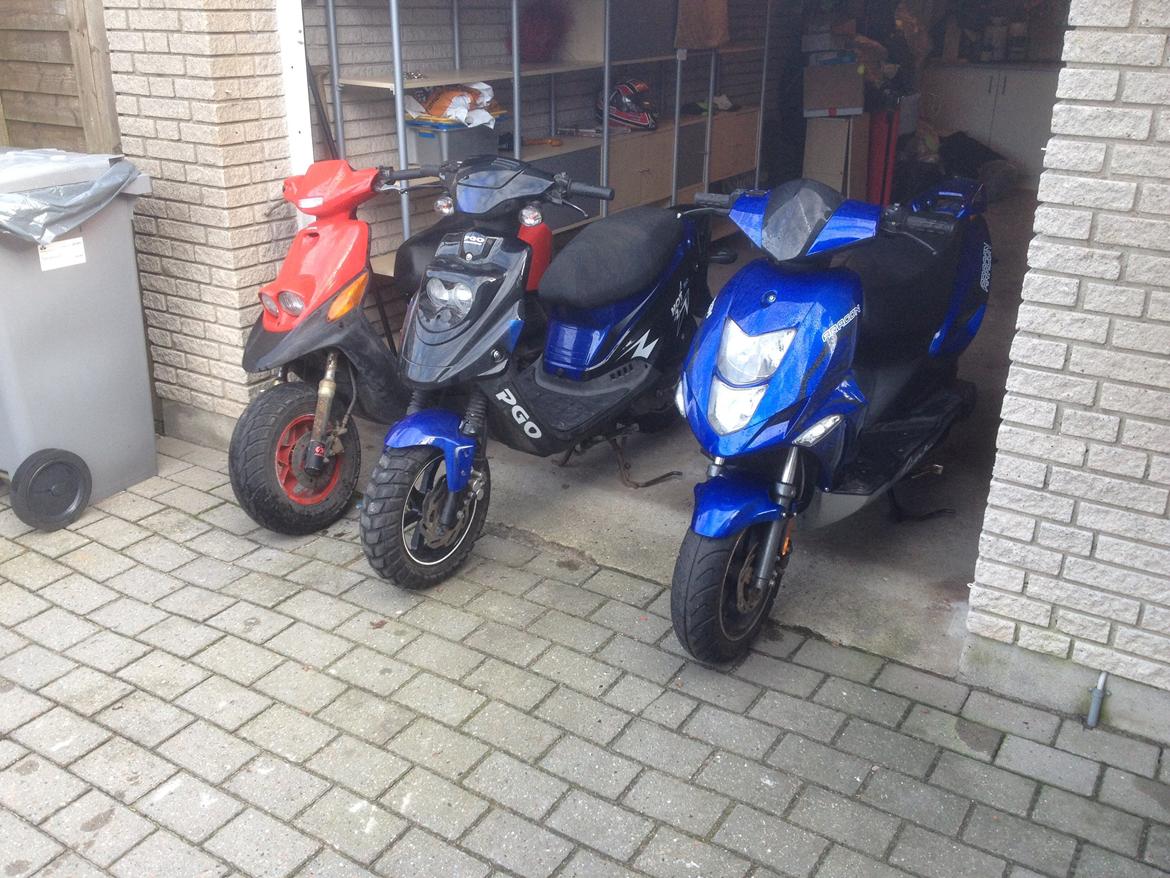 PGO Hot 50 billede 1