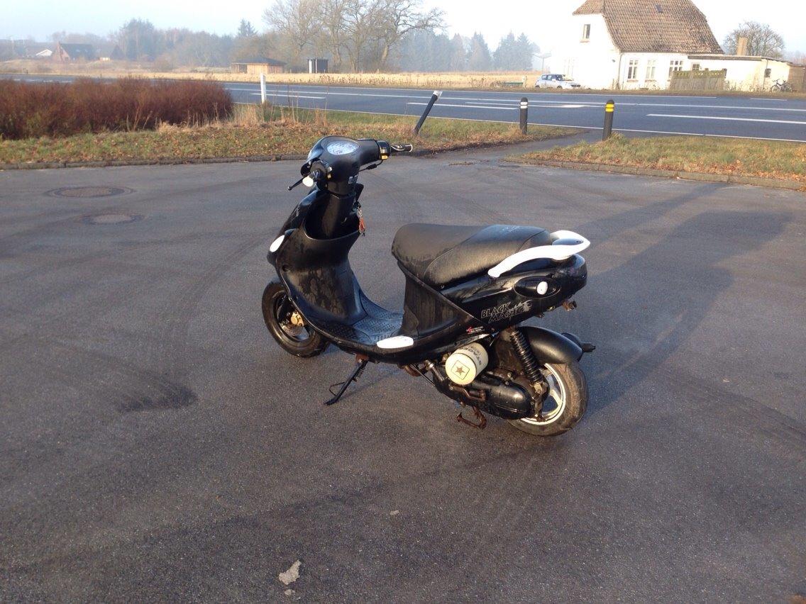 PGO Black Magic - Gertrud (solgt) billede 2