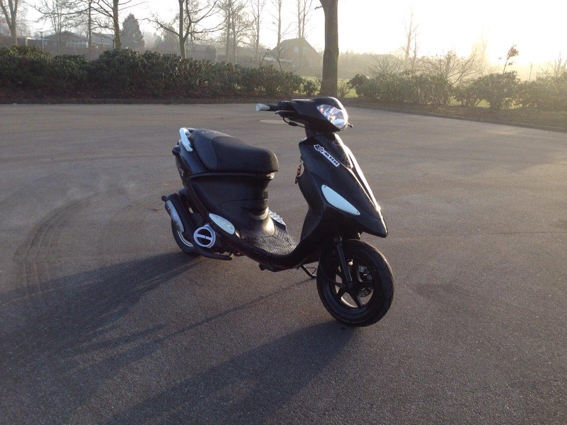 PGO Black Magic - Gertrud (solgt) billede 1