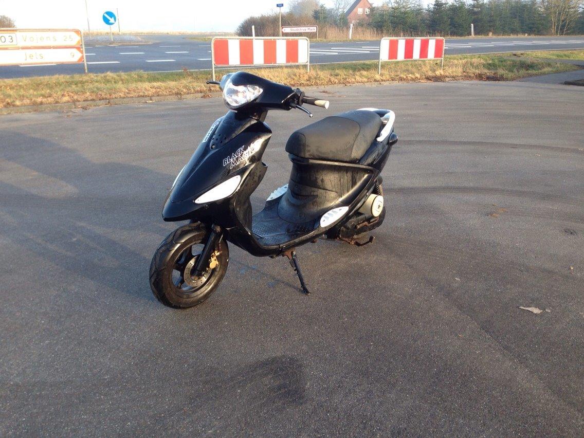 PGO Black Magic - Gertrud (solgt) billede 3