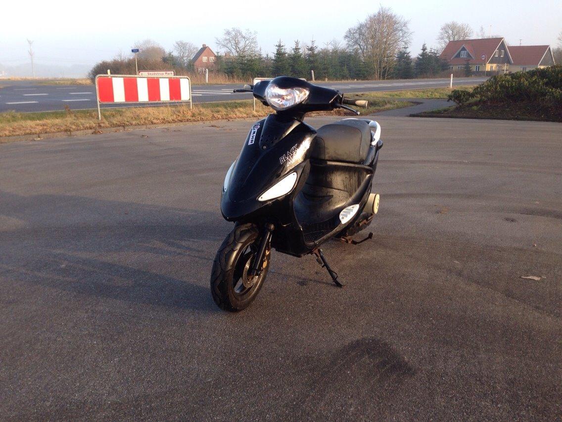 PGO Black Magic - Gertrud (solgt) billede 4